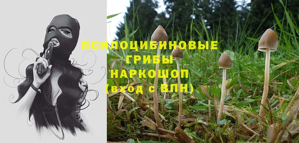 каннабис Алексеевка