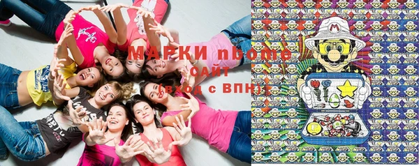 хмурый Алексин